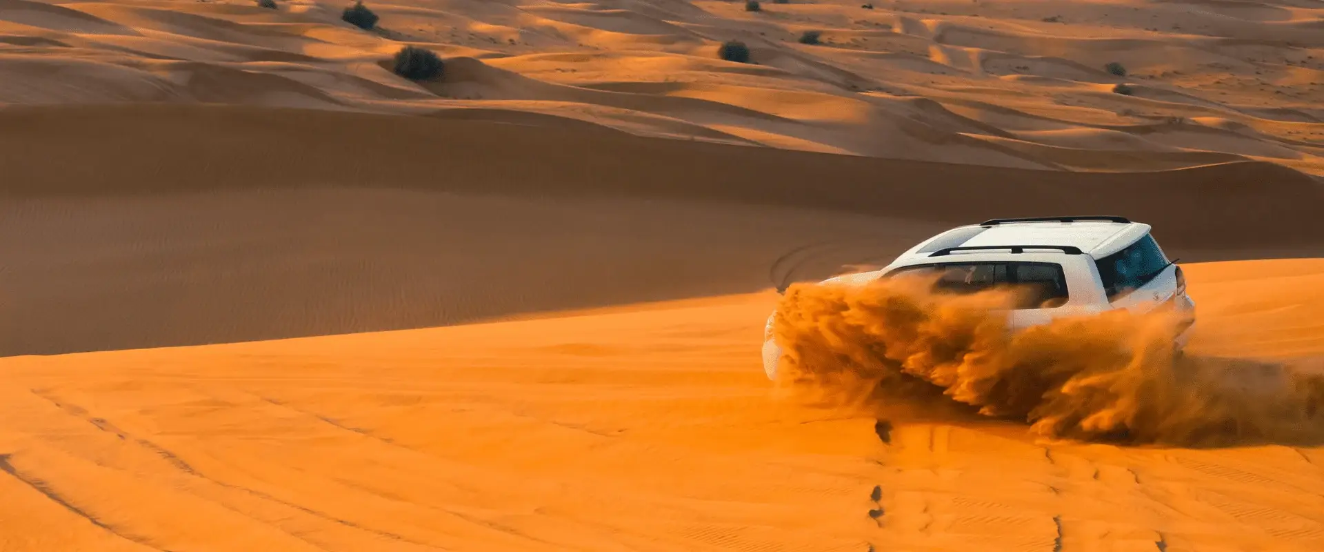UAE Desert
